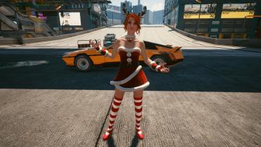 Christmas costume