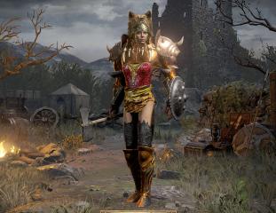 Wonder Woman Druid