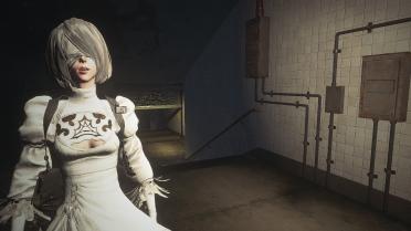 2B or 2P skirt