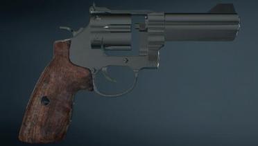 Smith & Wesson
