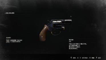 Smith & Wesson Revolver Model 36 Replacement SLS60