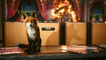 Fox Pet