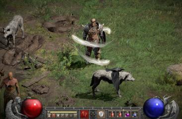 Elks Druid
