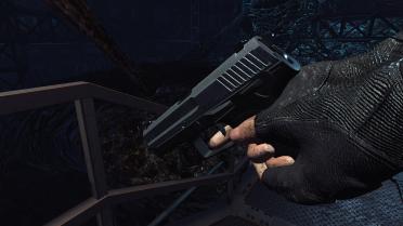 USP 45 (Pistol)
