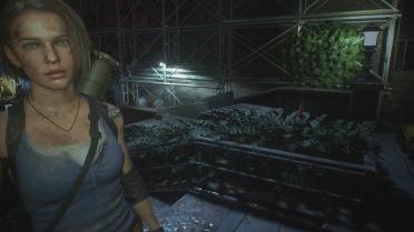 Jill's Green Eyes