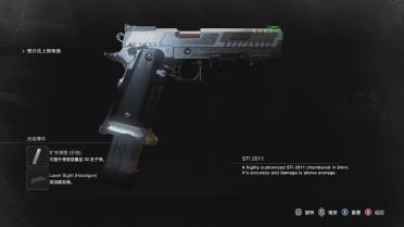 STI 2011 Combat Master - Night Sights