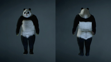 Mr Panda X