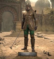 Aidan Dark Wanderer