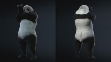 Panda Oliveira