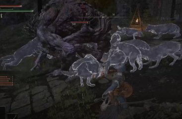 Summon 20 Wolves