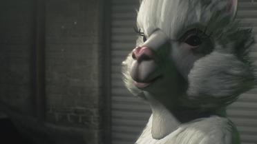 Jill Alpacalypse