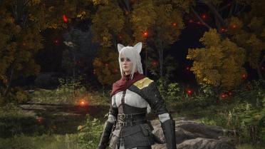 Cat Ears