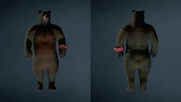 Kuma from Tekken