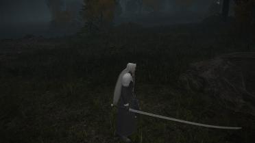 FF7 Sephiroth Cosplay