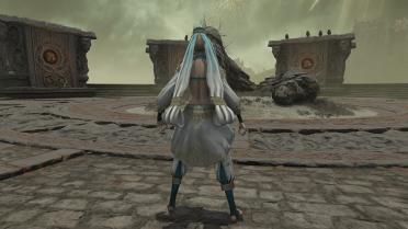 DW8 Wang Yuanji