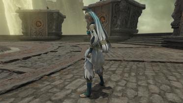 DW8 Wang Yuanji