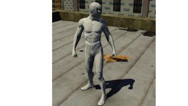 Gray Spiderman