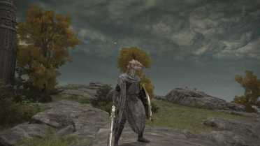 Bird of Light's Weapons and Armor