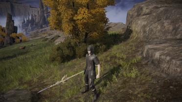 Noctis Weapons