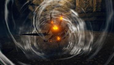 The Hollow Knight