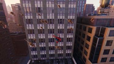 Flying Rats