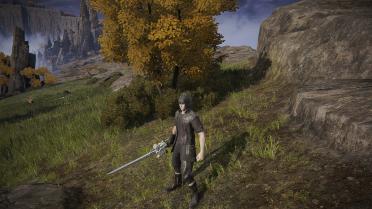 Noctis Weapons