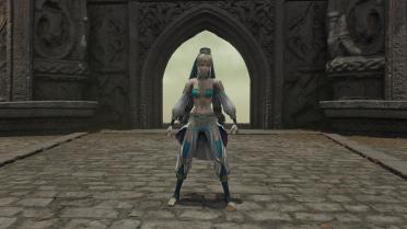 DW8 Wang Yuanji
