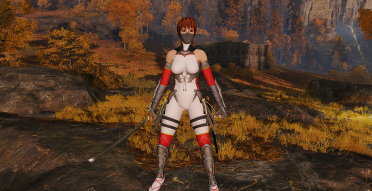 Kasumi Ninja set with Ishikiri