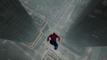 Spider Carnage