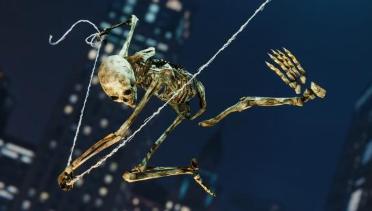 Skeleton-Man