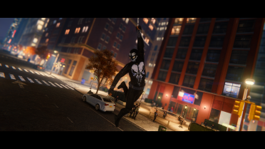 Punisher Spider V.2