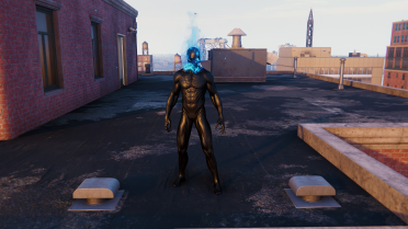 Black Spirit Spider