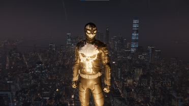 Punisher Spider
