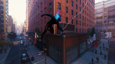 Black Spirit Spider