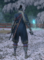 Dark Blue Okami