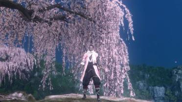 Shinobi of the Cherry Blossom