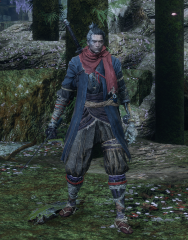 Dark Blue Okami
