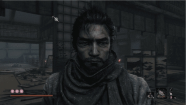 Bearded Sekiro