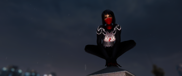 Silk