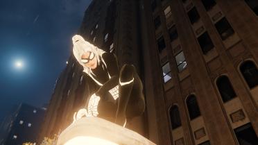 Night Spider