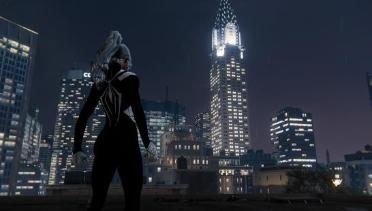 Night Spider