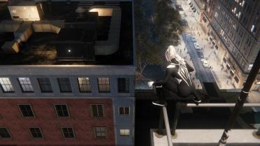 Night Spider