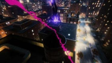 Magenta Webs