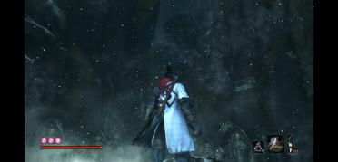 Blade of the Immortal coat