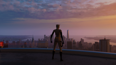 Catwoman Animated