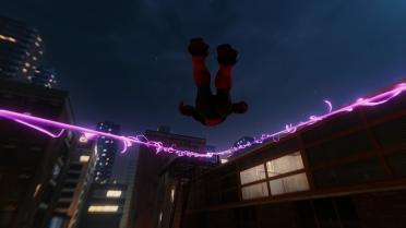 Purple Glowing Webs