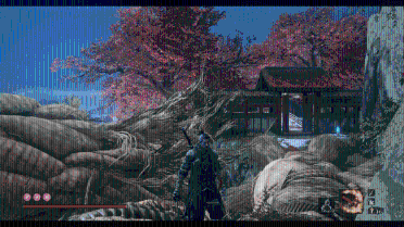 Sekiro 2.01