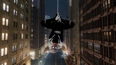 Night Spider