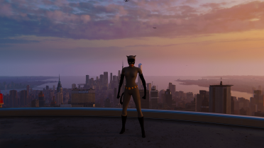 Catwoman Animated