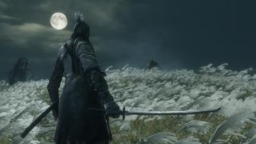 Ashina Wolf